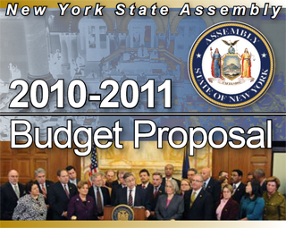 2010-2011 Budget