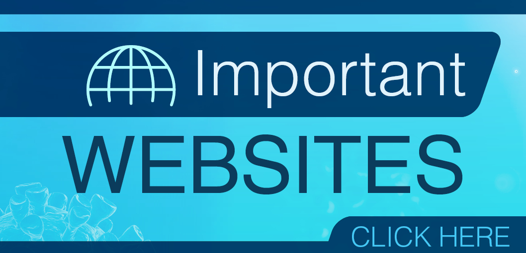 Important Websites