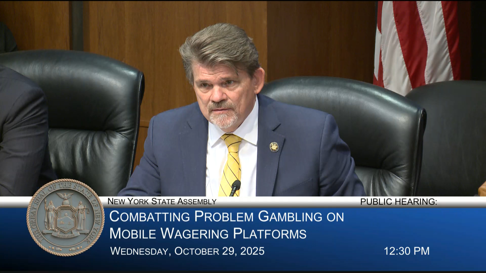 Assembly Holds Public Hearing on Combating Problem Gambling on Mobile Wagering Platforms