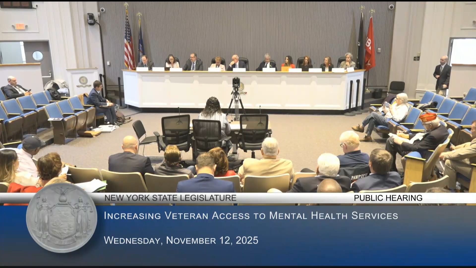 Kassay Attends LI Public Hearing on Ways to Increase Veterans’ Access to Mental Health Services