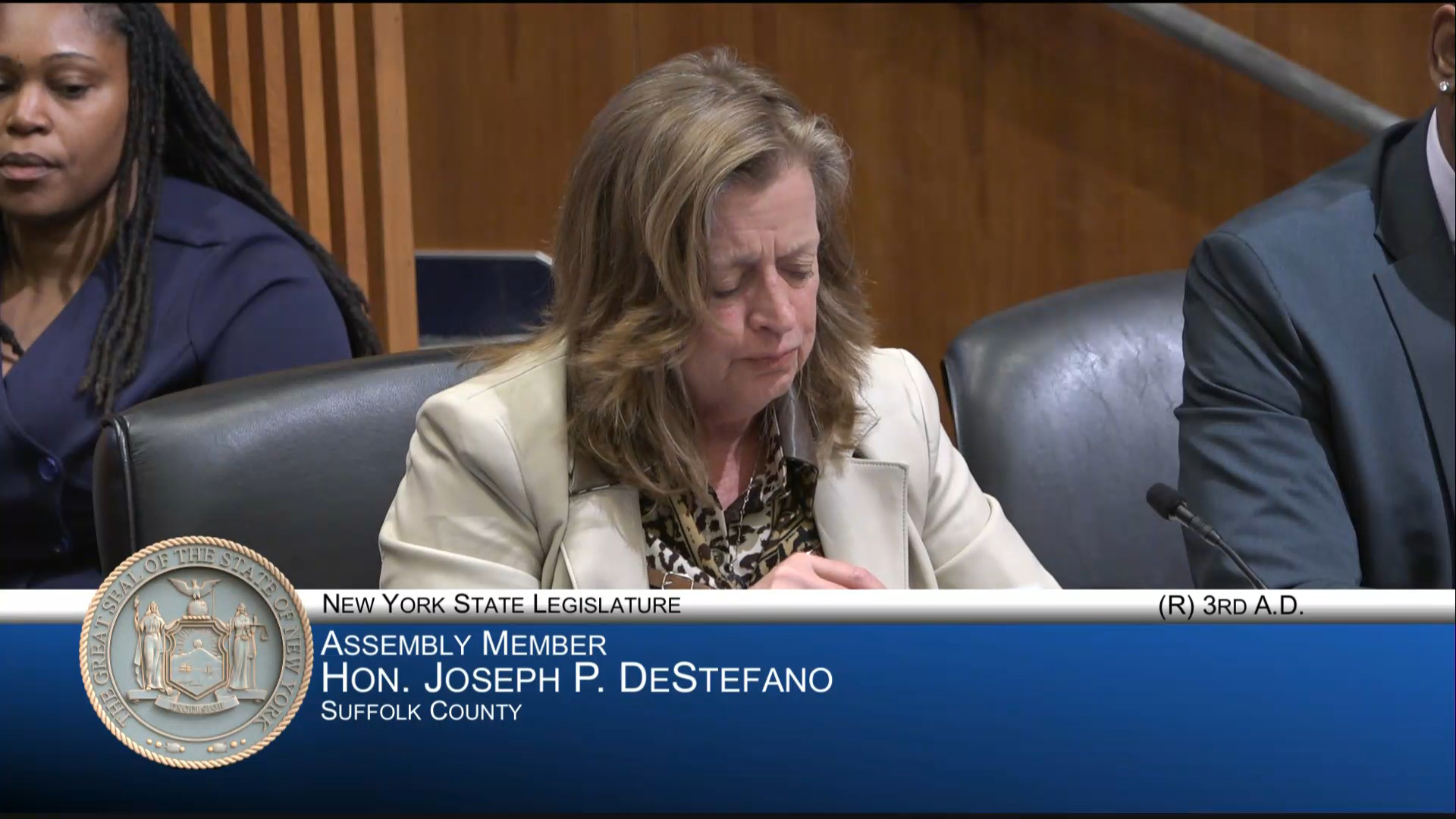 CUNY Chancellor Testifies During Joint Budget Hearing on Higher Education