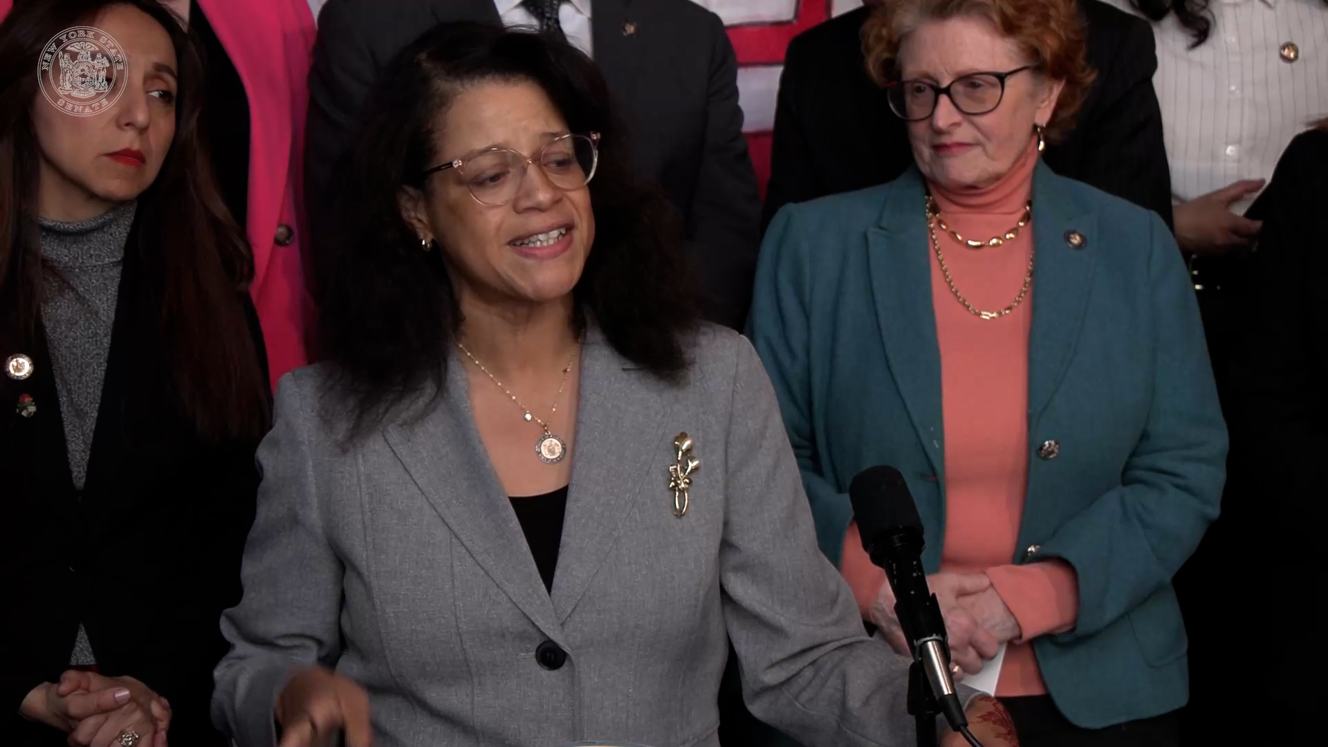 Defend Our Climate Law Rally