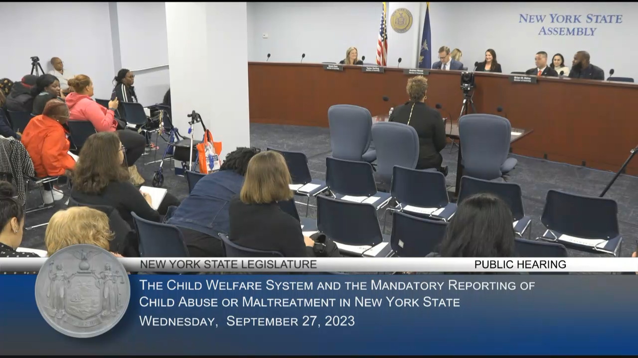 Hevesi Questions OFCS Acting Commissioner During Hearing on the Child Welfare System and Mandatory Reporting of Child Abuse or Maltreatment in NYS