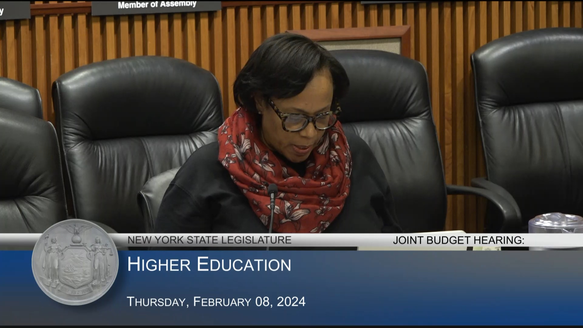 NYS Higher Education Services Corporation President Testifies During Budget Hearing on Higher Education