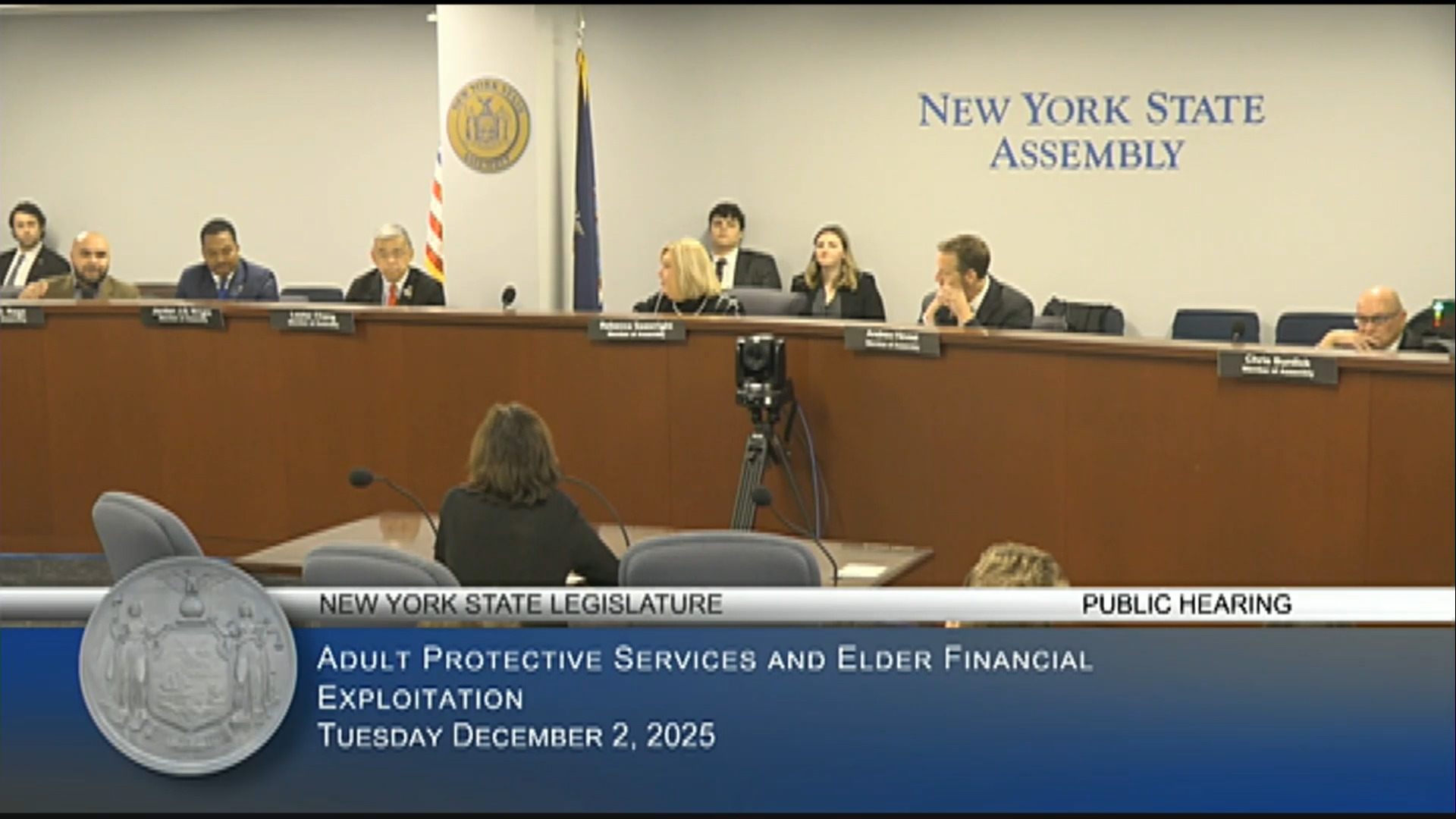 NYC Dept. of Aging Representative Testifies During Public Hearing on Preventing Financial Fraud Against Older Adults
