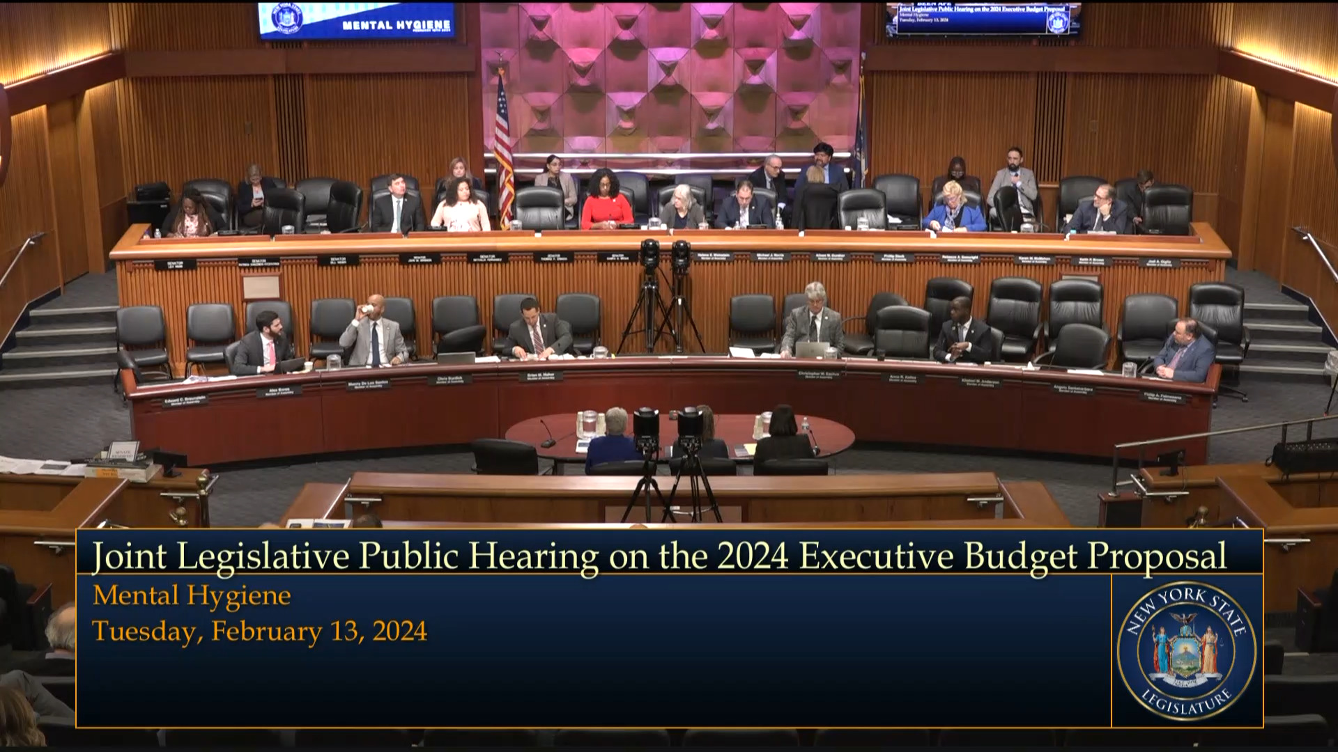 Commissioners Testify During Budget Hearing on Mental Hygiene