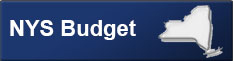 NYS Budget
