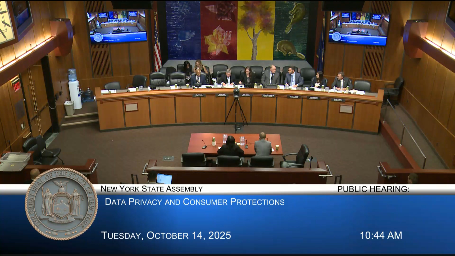 Public Hearing on the Protection and Privacy of Consumer Data