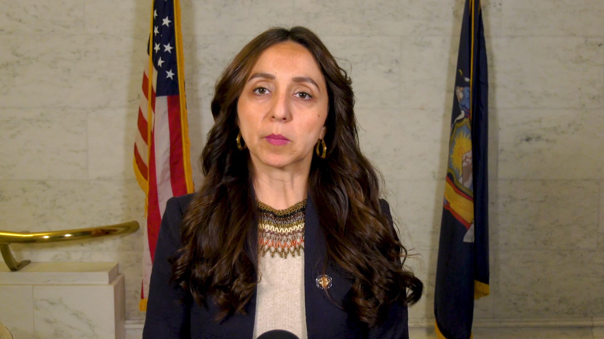 Immigrant Protections Part of 2026 State Budget