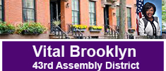 Vital Brooklyn Community Proposal 