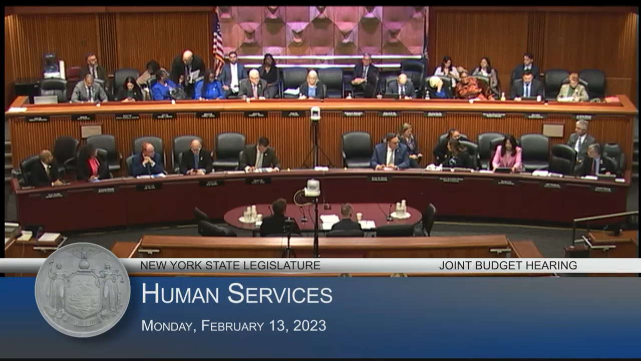 Commissioners Testifies During a Budget Hearing On Human Services