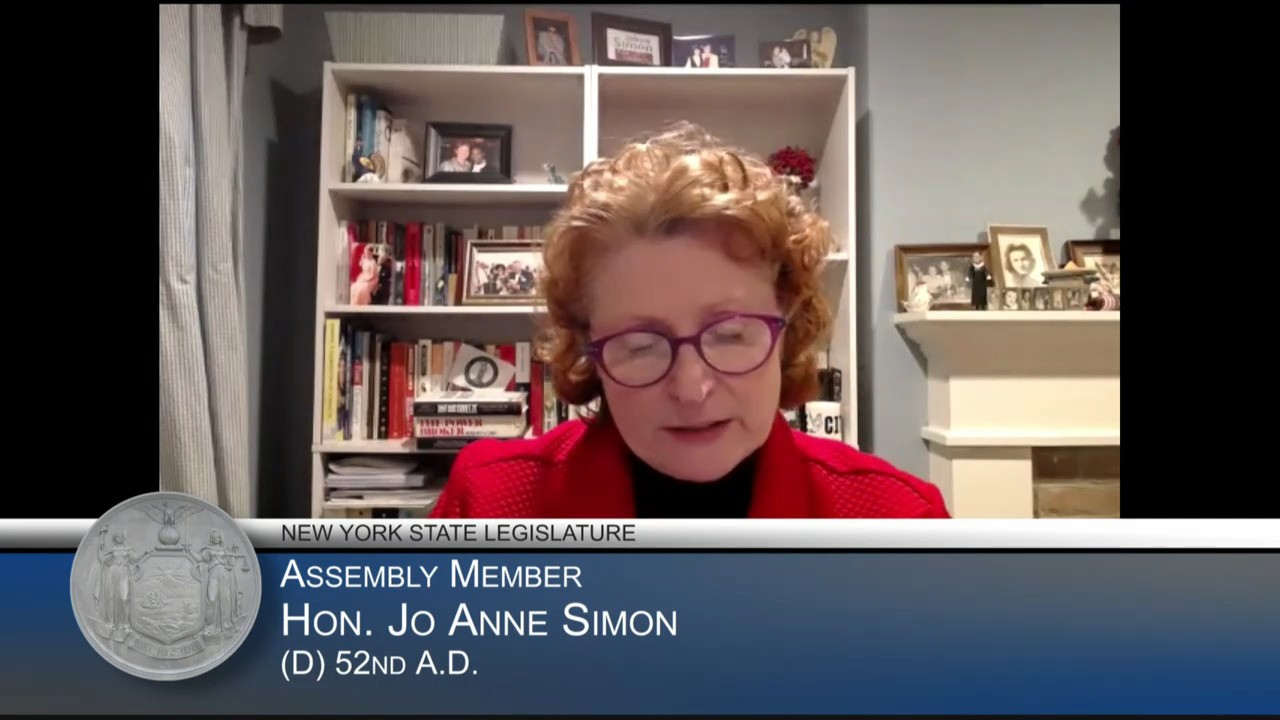 Simon Questions State Transportation Commissioner on BQE Repair During Budget Hearing on Transportation