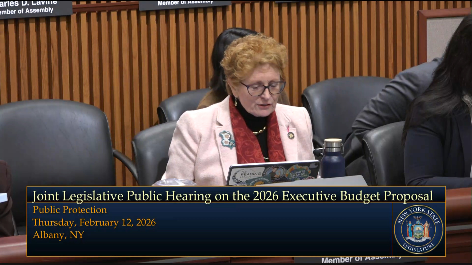 NYS Chief Administrative Judge Testifies During Budget Hearing on Public Protection