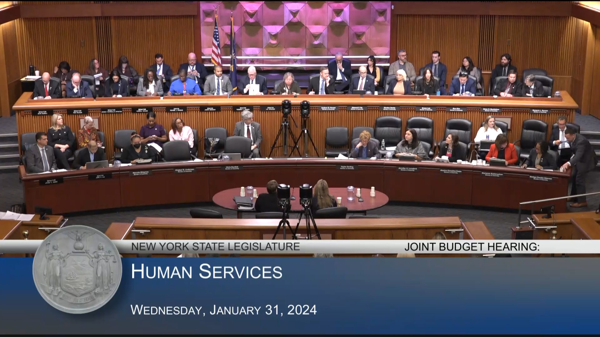 Children and Family Services Acting Commissioner Testifies During Budget Hearing on Human Services