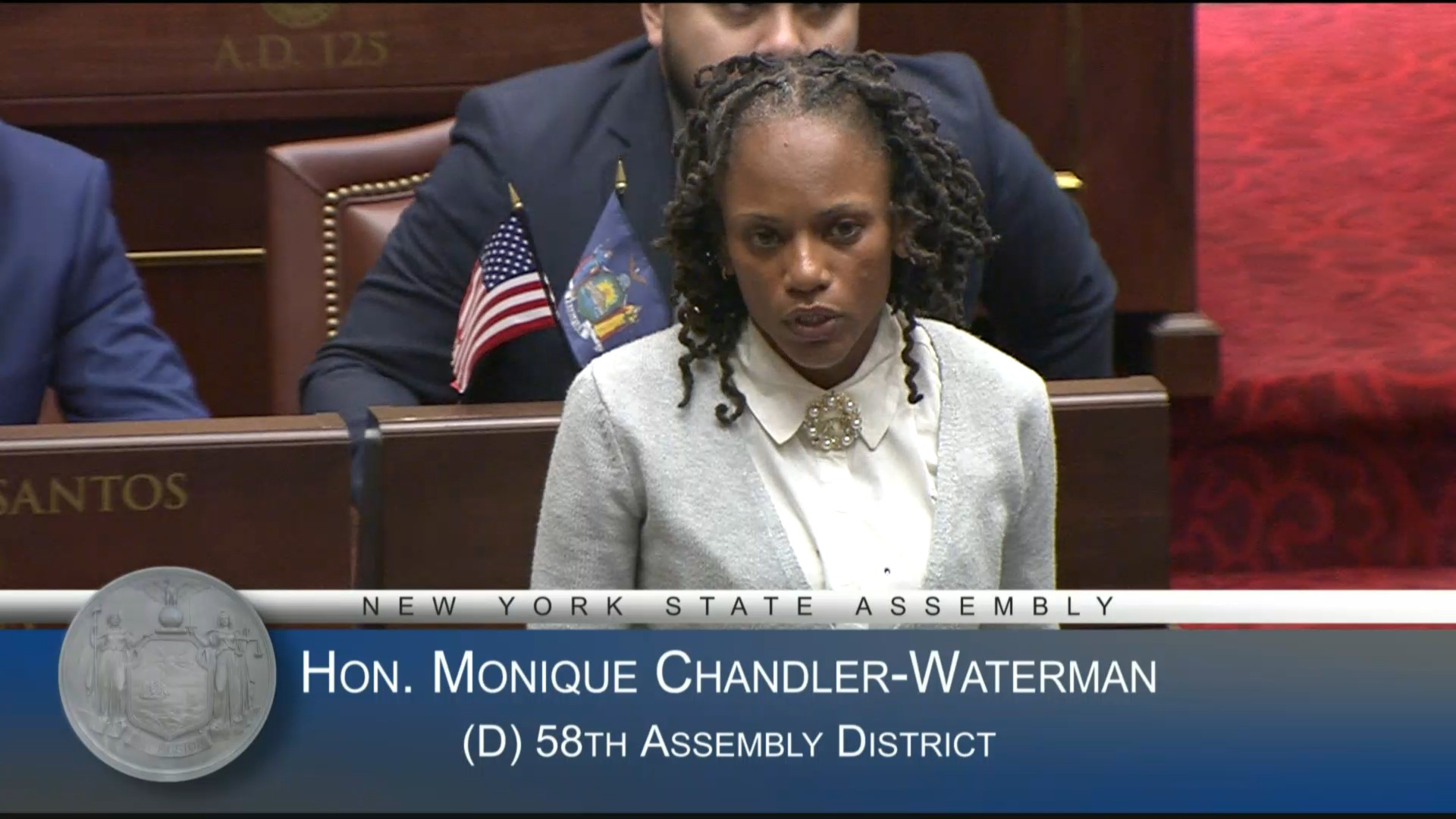 41st Annual Martin Luther King, Jr. Day in NY