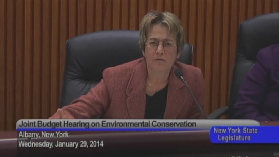 Environmental Conservation Hearing 