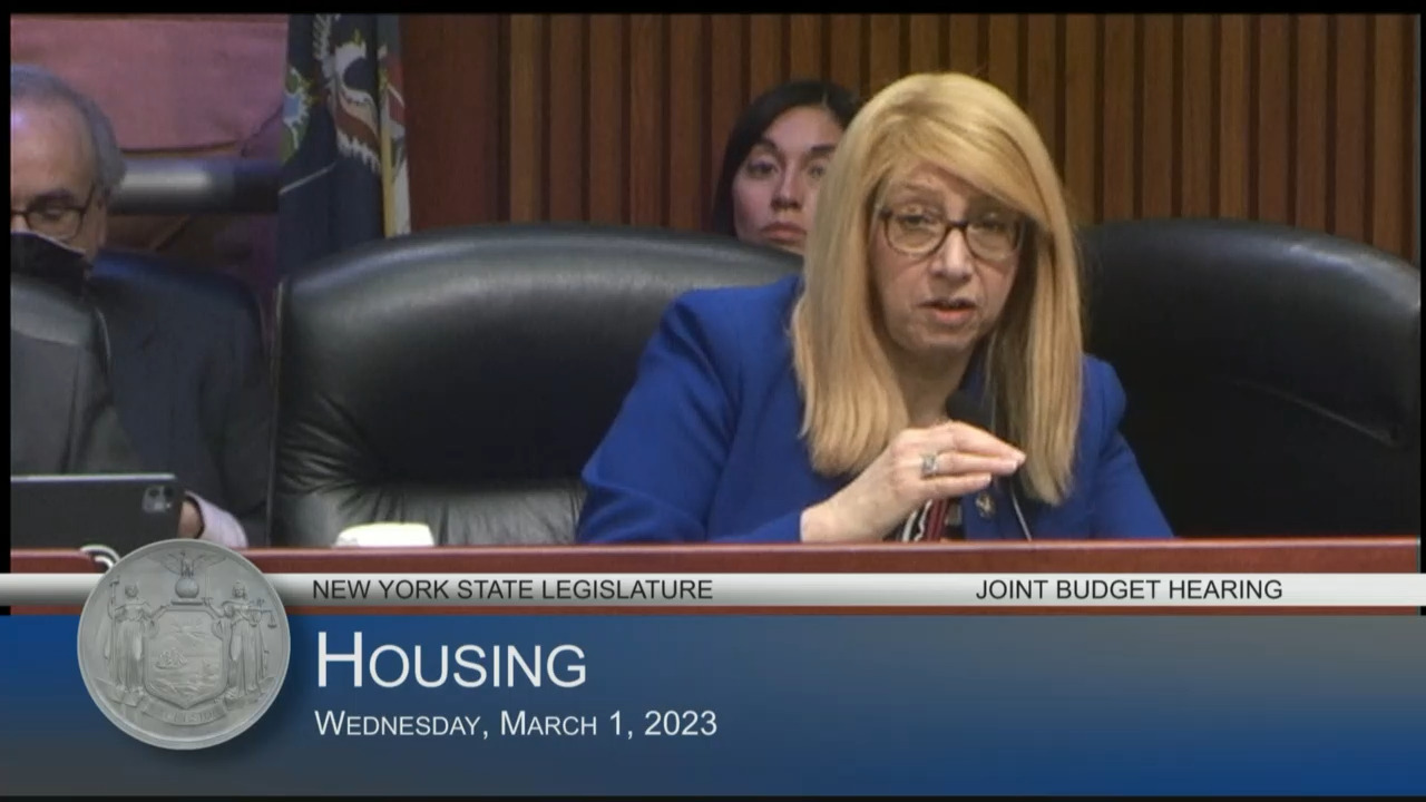 ANHD Executive Director Testifies During Budget Hearing on Housing