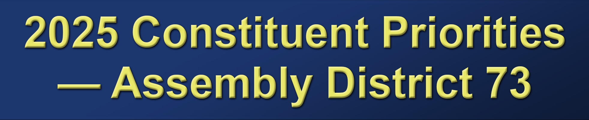 2025 Constituent Priorities