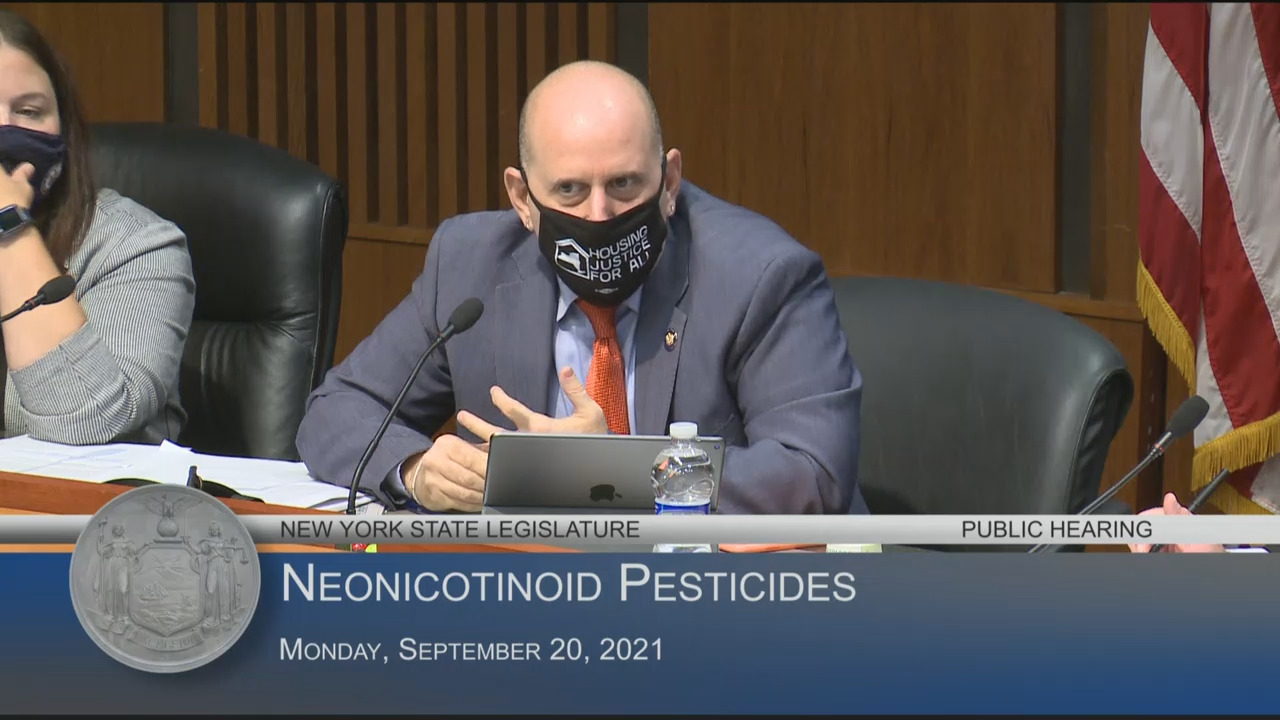 Examining the Impact of Neonicotinoid Pesticides on Pollinators
