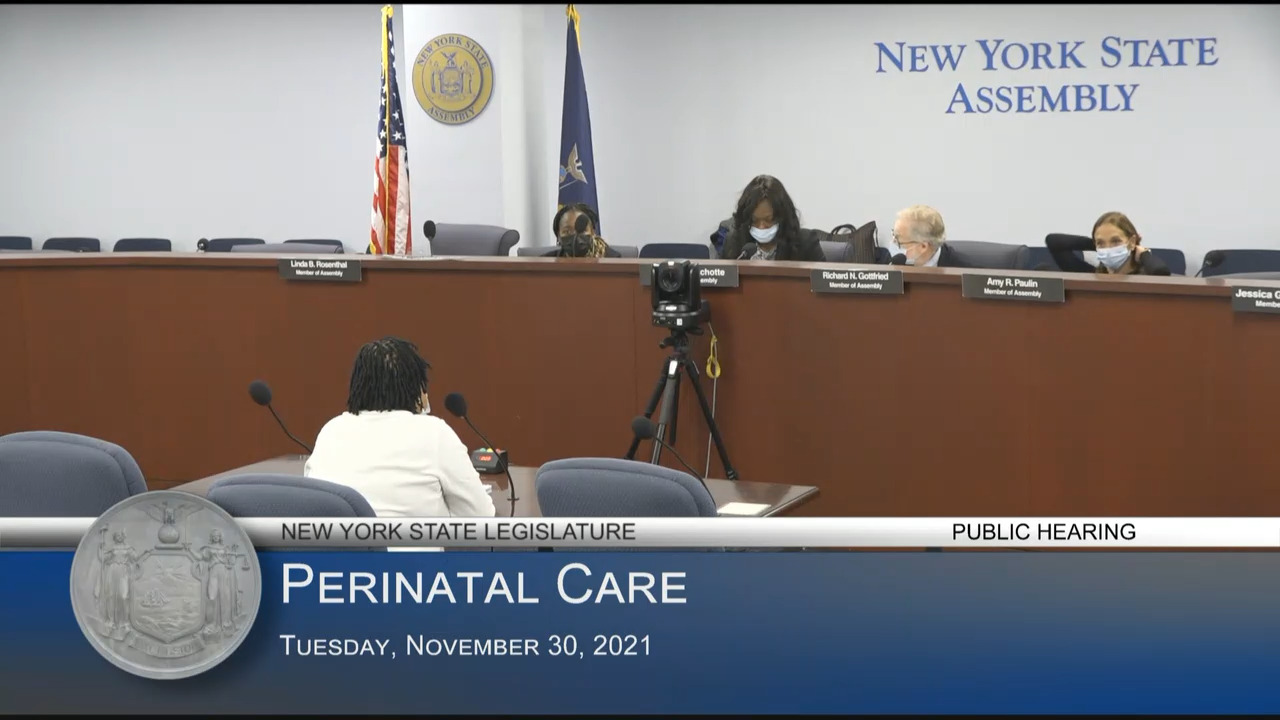 DONA International President Testifies at Public Hearing on Perinatal Care