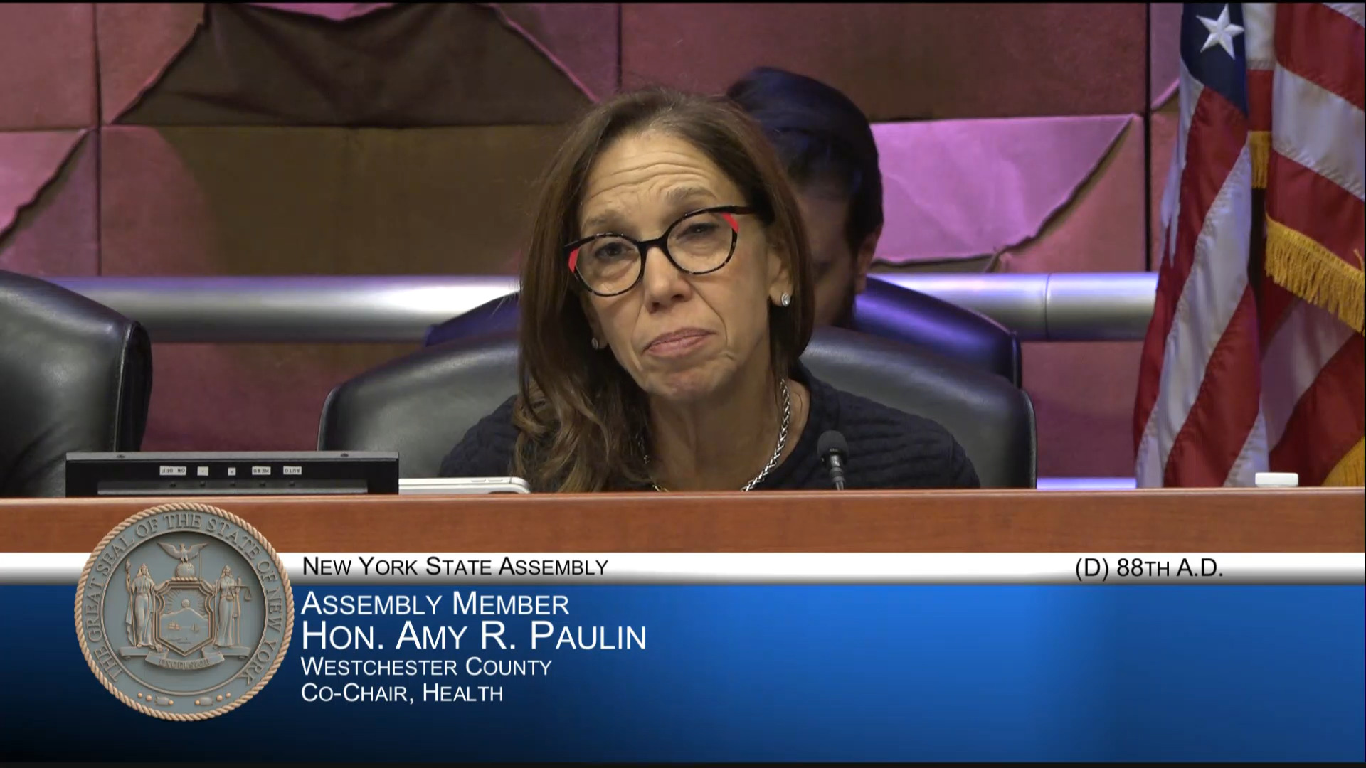 Environmental Advocates Testify at Public Hearing Examining New York’s Lead Service Line Replacement Program