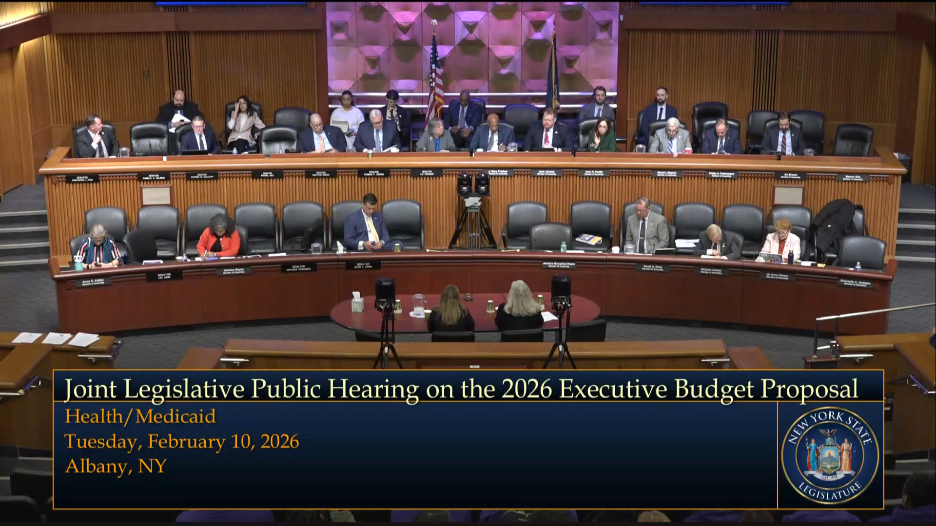 Healthcare Industry Representatives Testify During Budget Hearing on Health and Medicaid