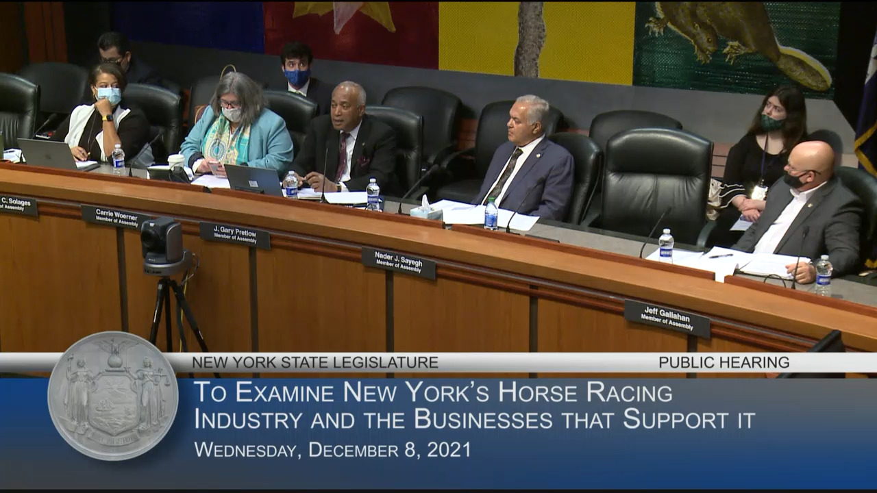 Public Hearing on the Efficiency and Effectiveness of New York’s Horse Racing Industry