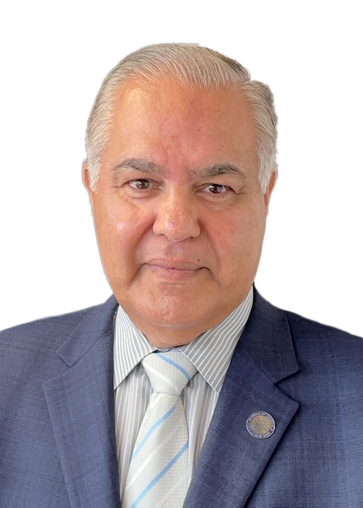 Nader J. Sayegh