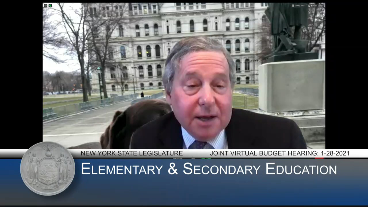 Otis Questions Interim Education Commissioner Rosa on Science & Technology and Racial Justice Curriculum During Budget Hearing on Education