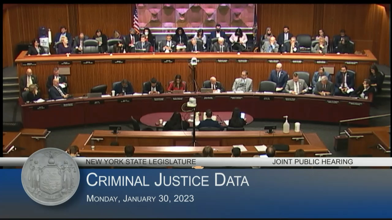 DCJS Commissioners Testify at Public Hearing Examining Crime Data