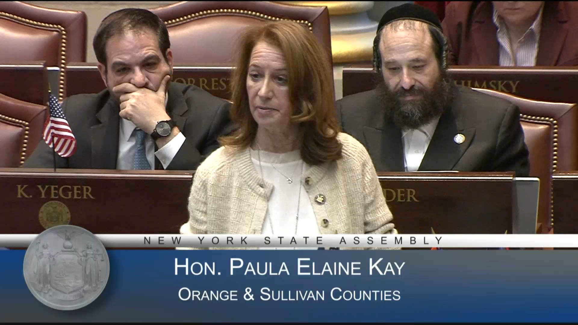 41st Annual Martin Luther King, Jr. Day in NY