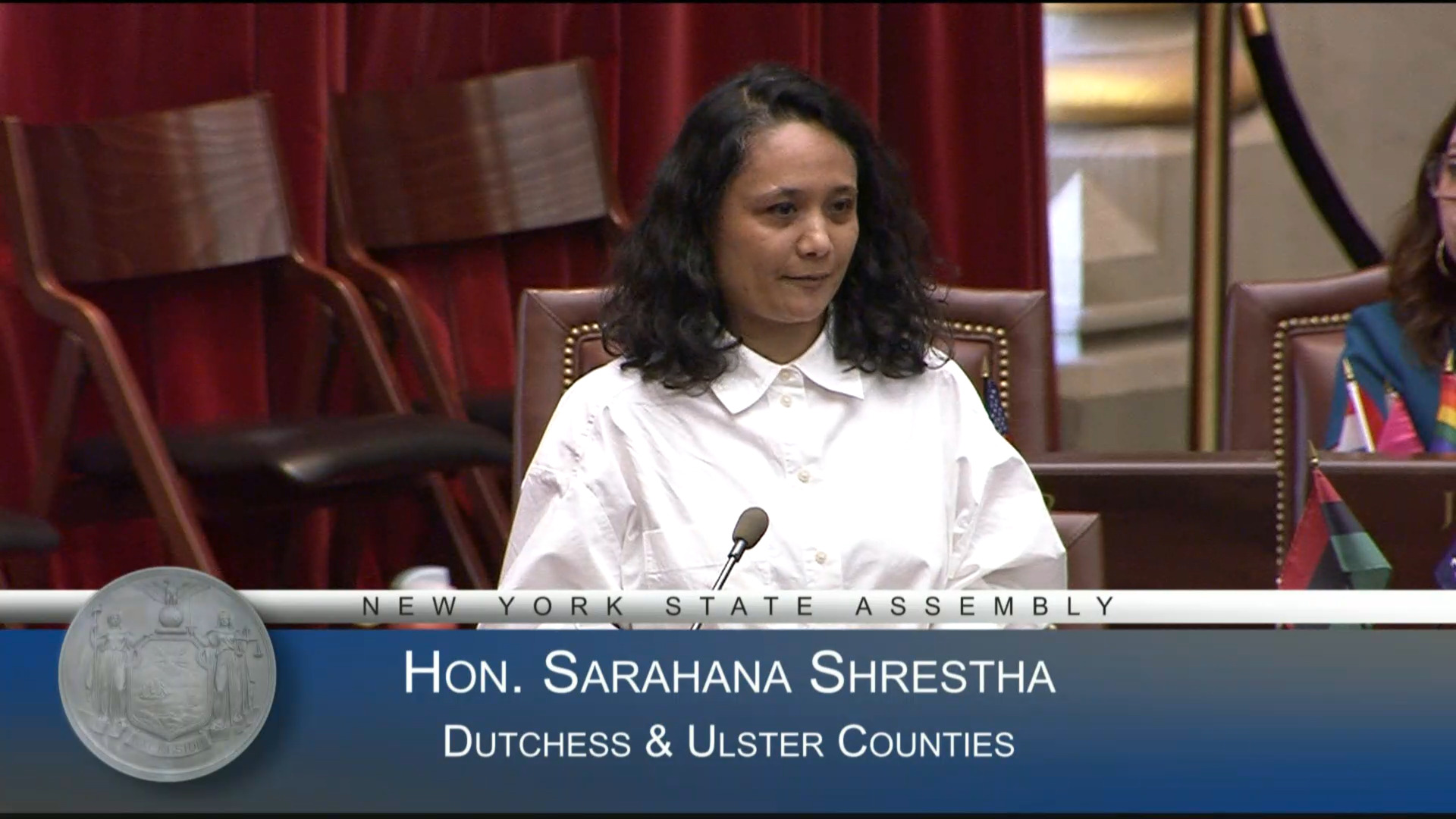 Shrestha Says Revenue Bill Doesn't Protect Working Families