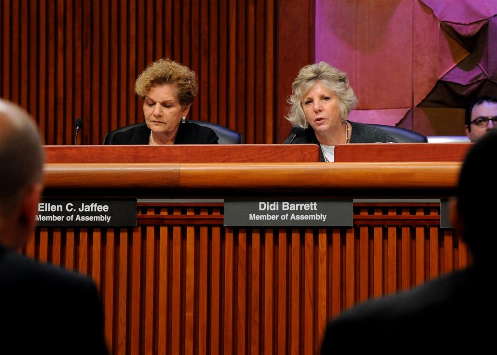 Assemblymember Didi Barrett speaks at an Assembly Hearing on Common Core Standards