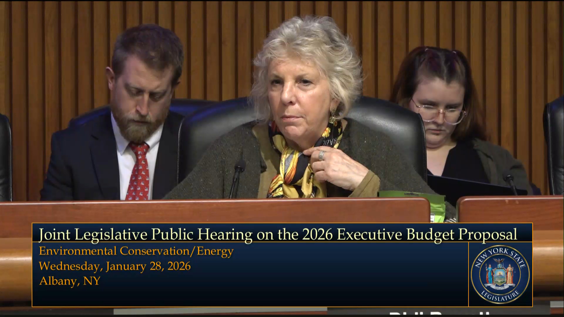 State Energy Officials Testify During Budget Hearing on Environmental Conservation