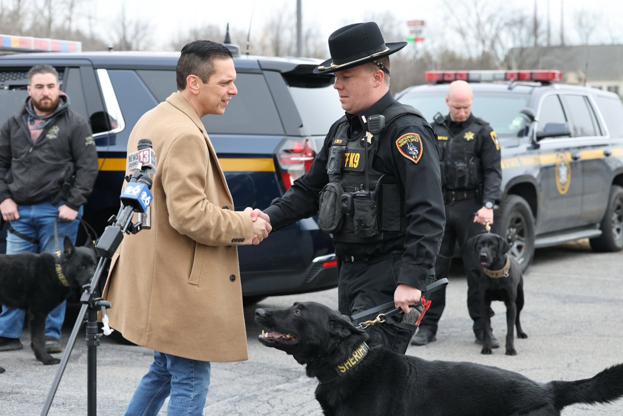 Photo as described in caption