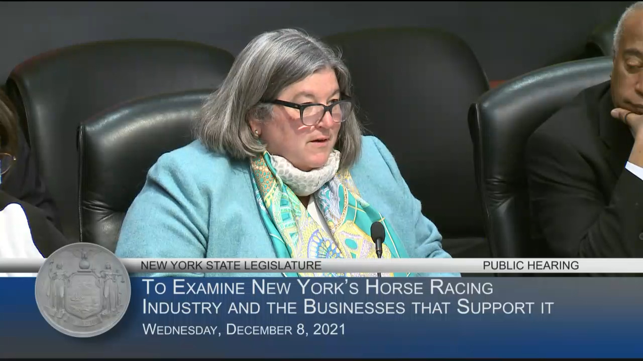 Blue Chip Farms Owner Testifies at Hearing on the Efficiency and Effectiveness of New York’s Horse Racing Industry