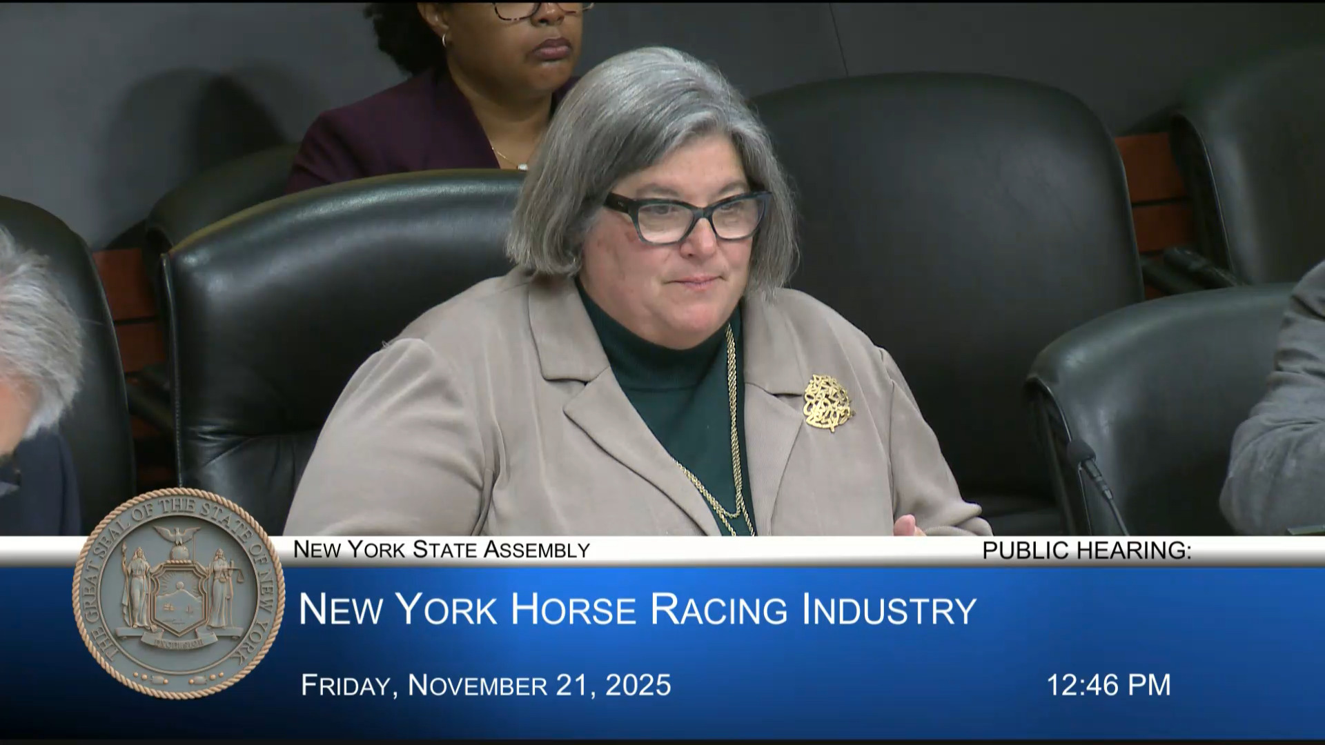 Assembly Holds Public Hearing Examining New York’s Horse Racing Industry