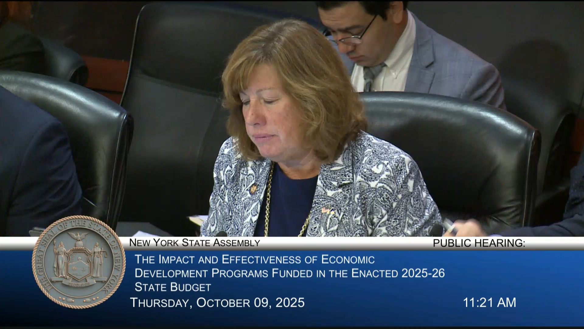 Buttenschon Co-Chairs Public Hearing on Impact of Economic Development Programs funded in New State Budget