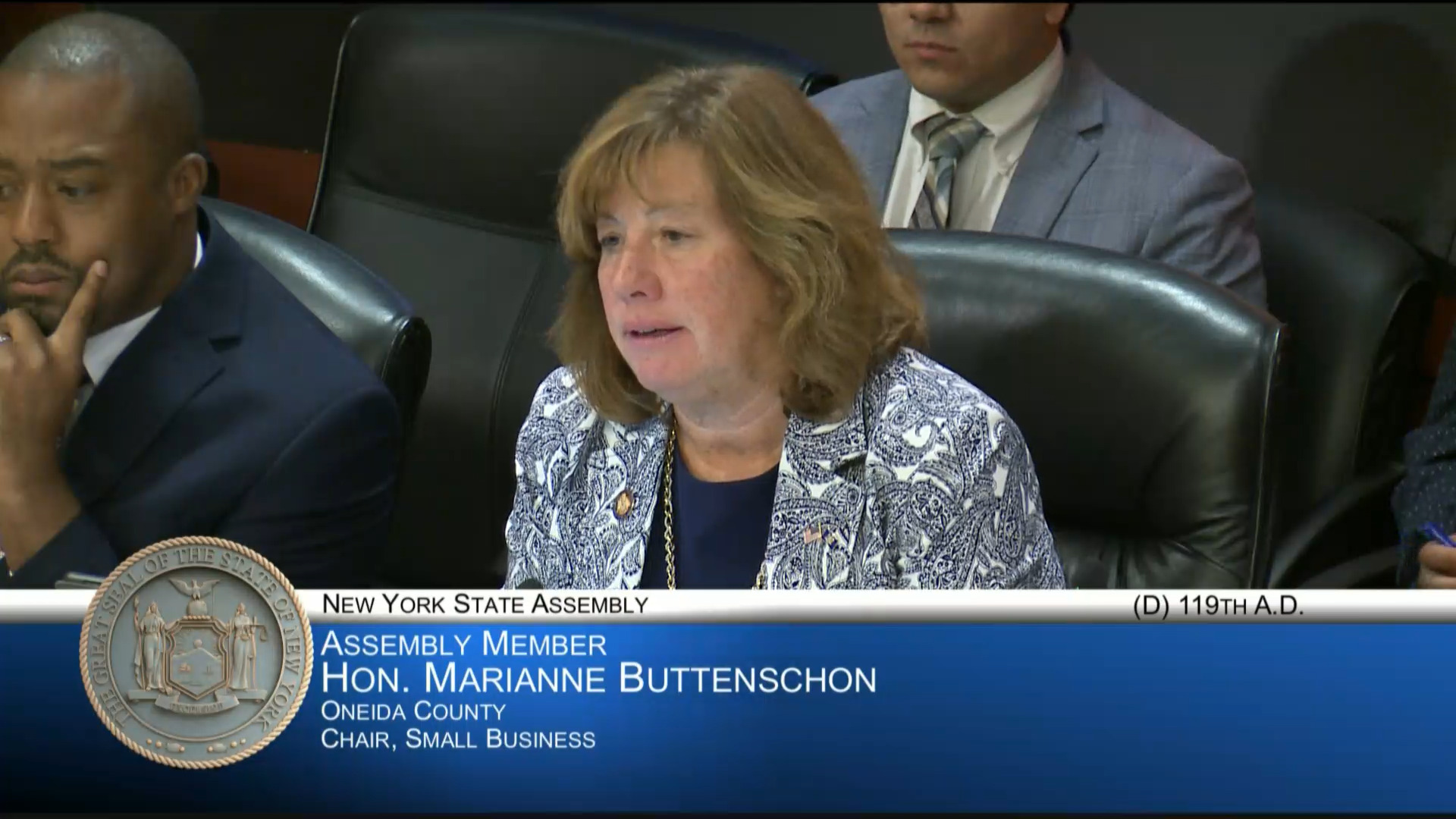 Trade Organization Representatives Testify at Hearing on Impact of Economic Development Programs funded in New State Budget