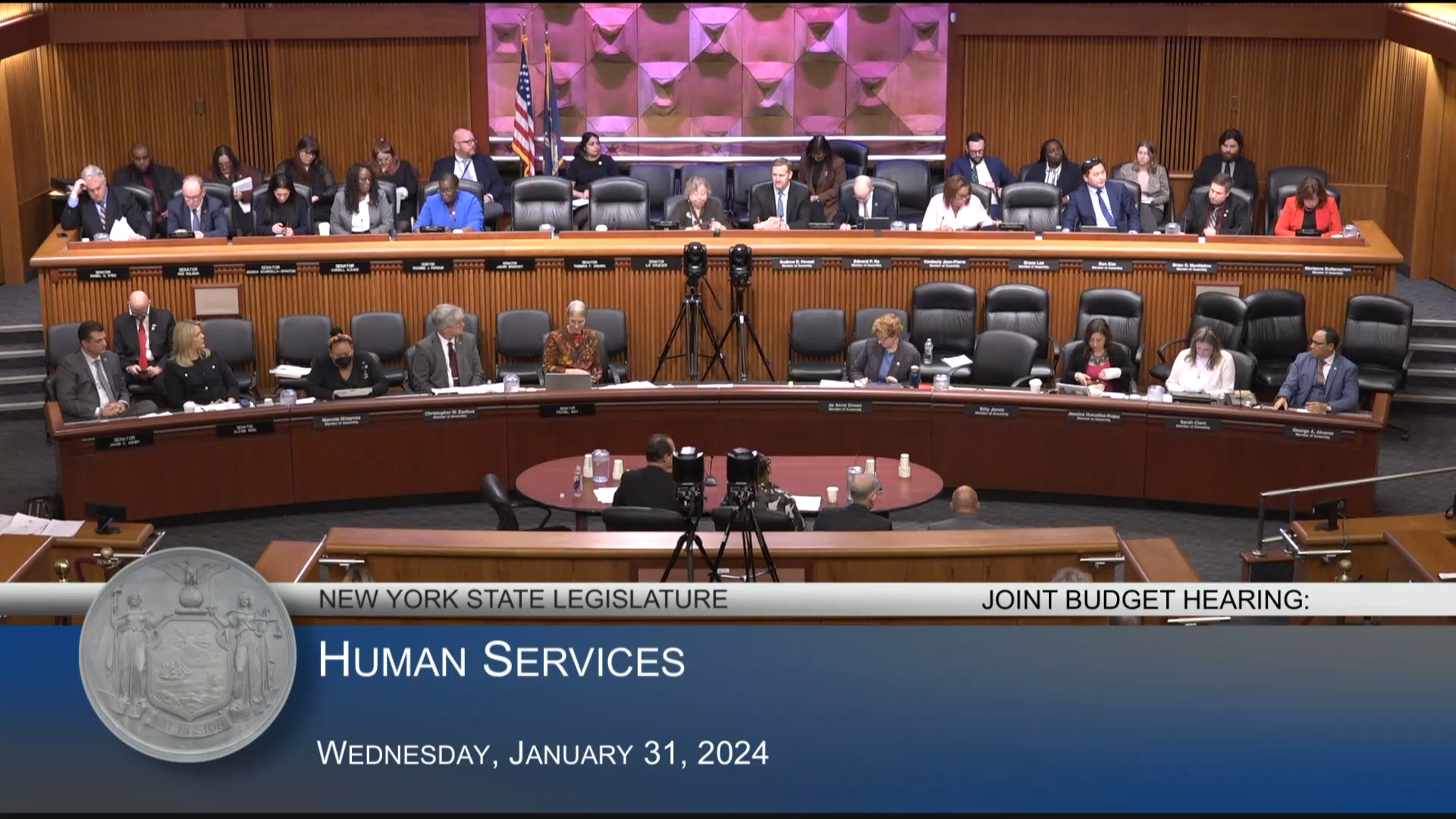 NYS Office for the Aging Acting Director Testifies During Budget Hearing on Human Services
