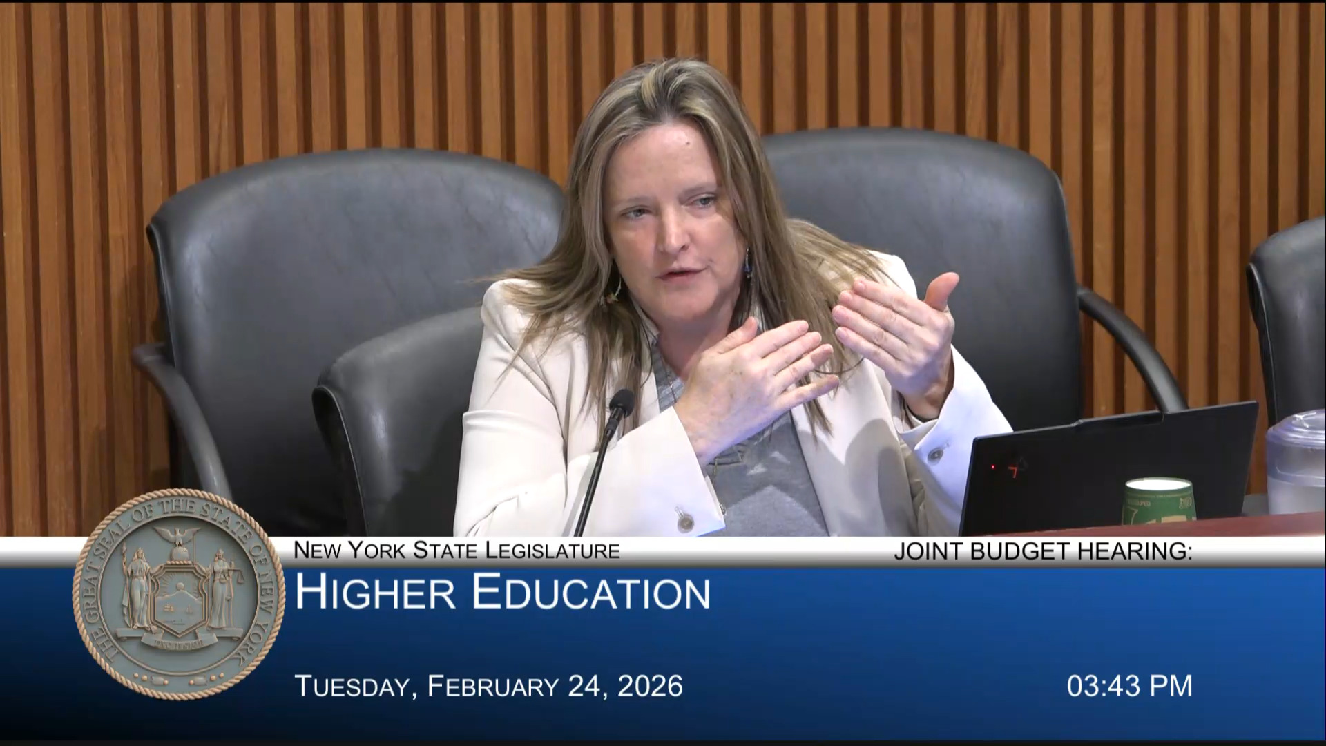 NYS Higher Education Services Corp. Acting President Testifies During Joint Budget Hearing on Higher Education