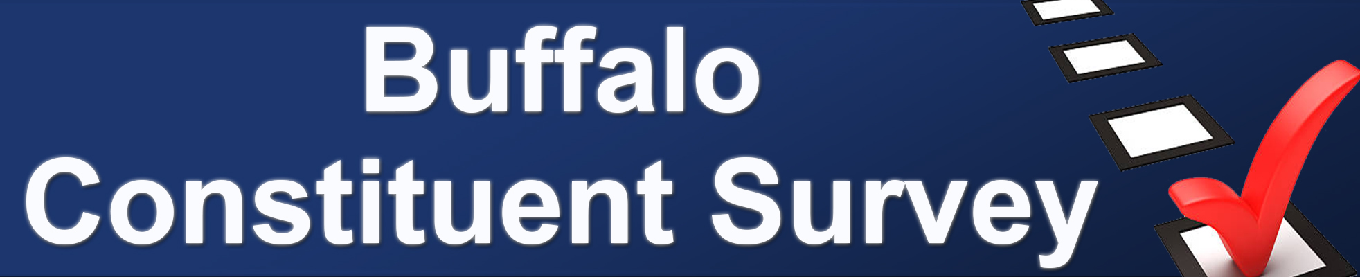 2021 Constituent Survey (Buffalo)