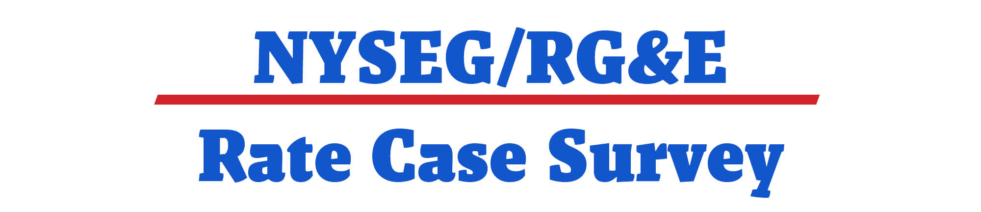 Participating in the NYSEG / RG&E Rate Case
