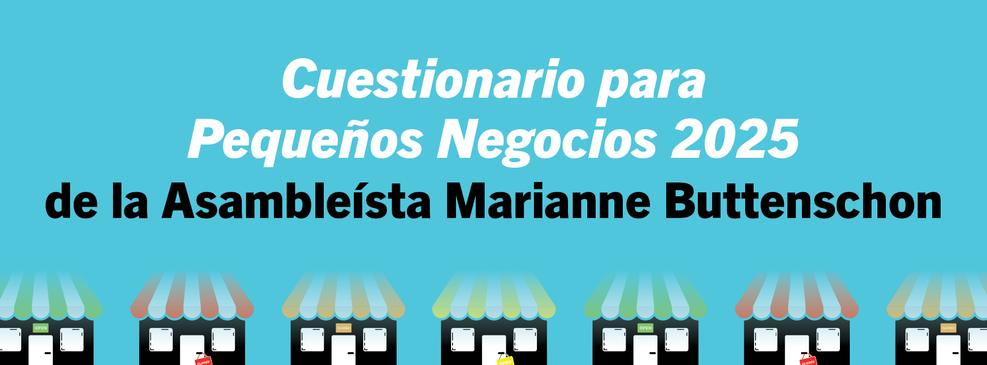 Cuestionario para Pequeños Negocios 2025 Cuestionario para Pequeños Negocios 2025