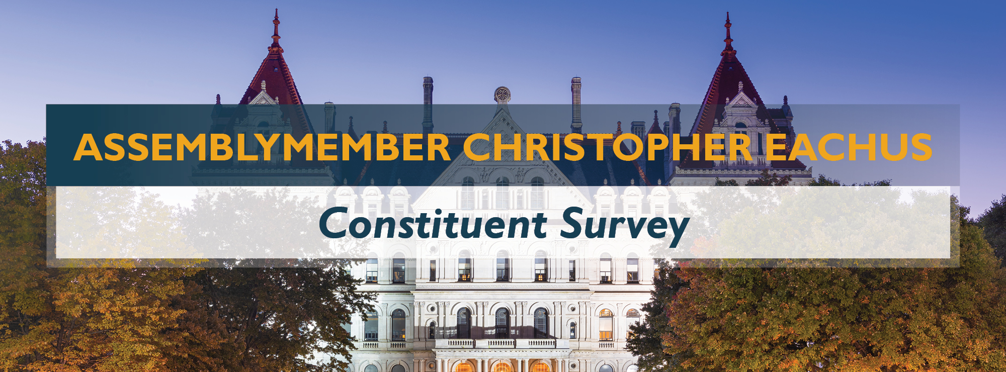 2026 Constituent Survey