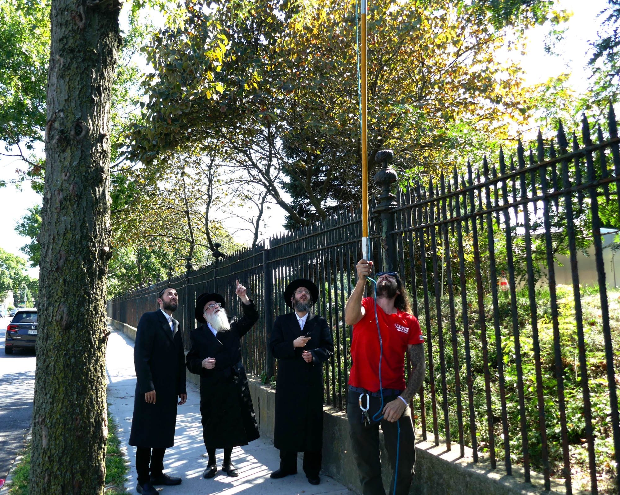 Photo as described in caption